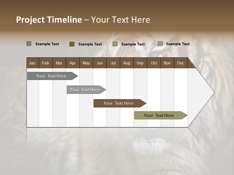 Bengal Tiger Roaring PowerPoint Template