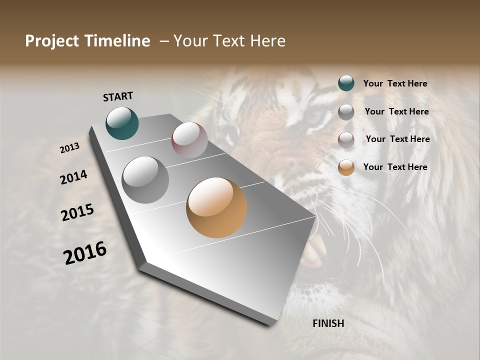 Bengal Tiger Roaring PowerPoint Template