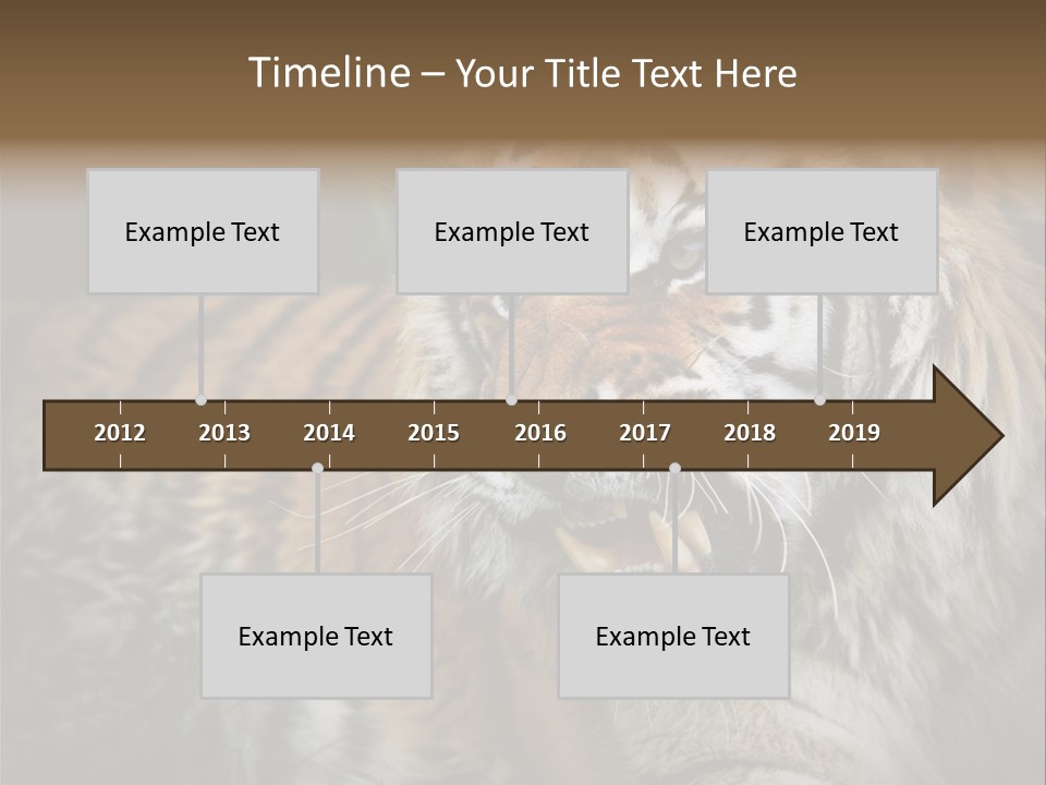 Bengal Tiger Roaring PowerPoint Template