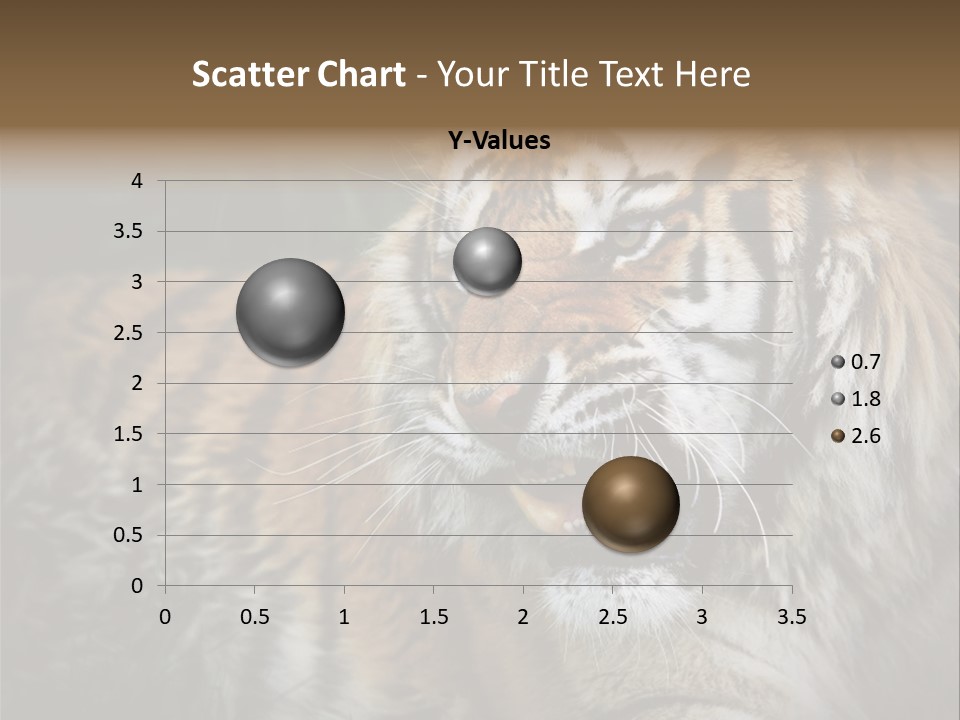 Bengal Tiger Roaring PowerPoint Template