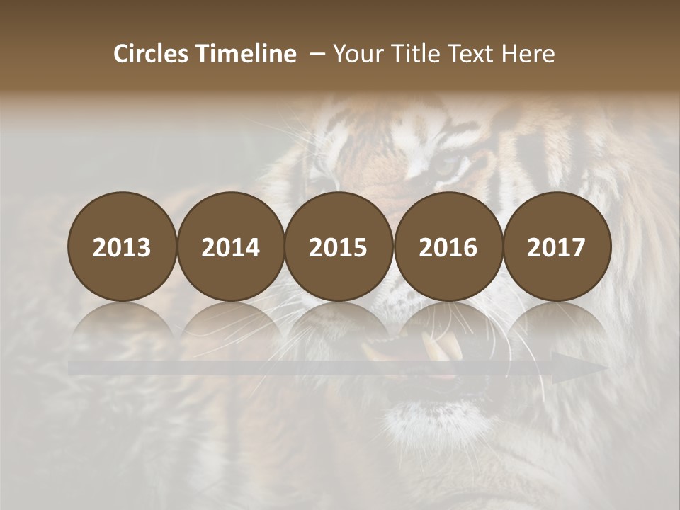 Bengal Tiger Roaring PowerPoint Template