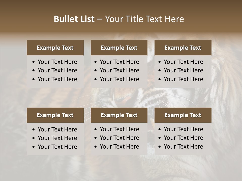 Bengal Tiger Roaring PowerPoint Template