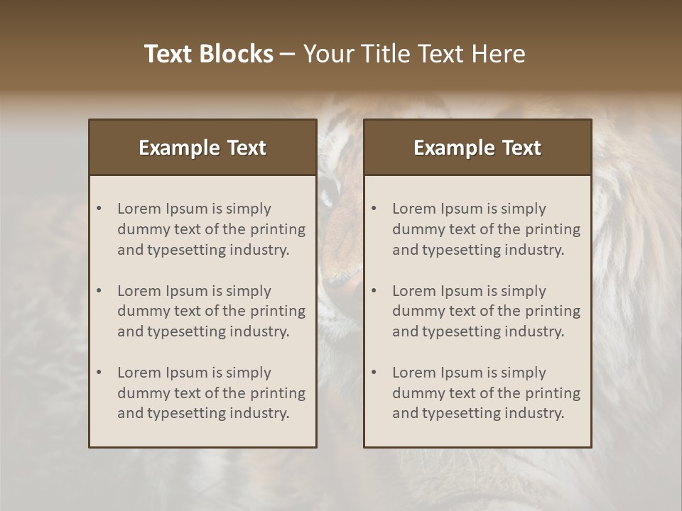 Bengal Tiger Roaring PowerPoint Template