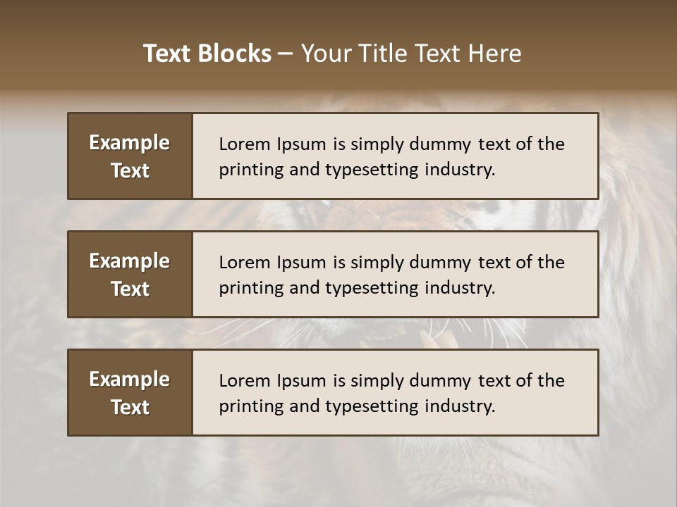Bengal Tiger Roaring PowerPoint Template
