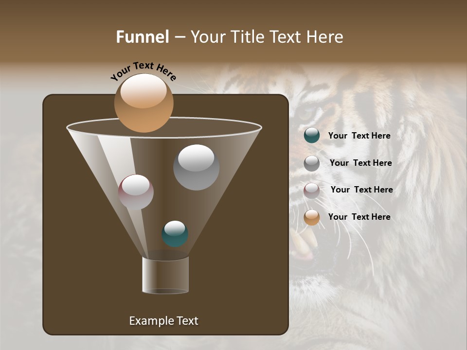 Bengal Tiger Roaring PowerPoint Template