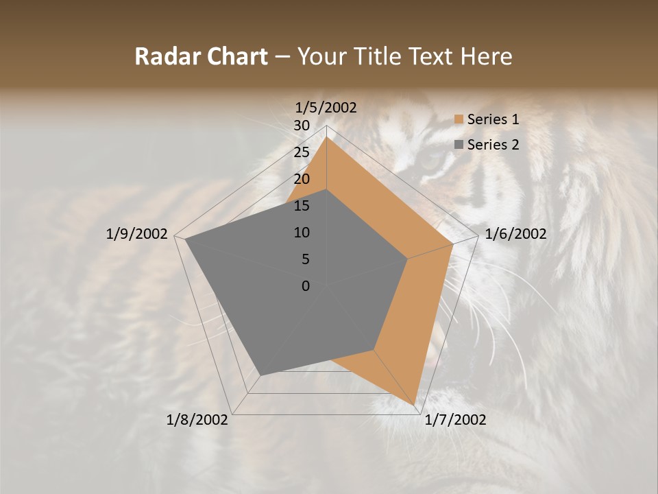 Bengal Tiger Roaring PowerPoint Template