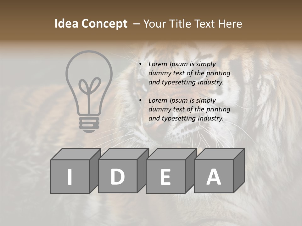 Bengal Tiger Roaring PowerPoint Template
