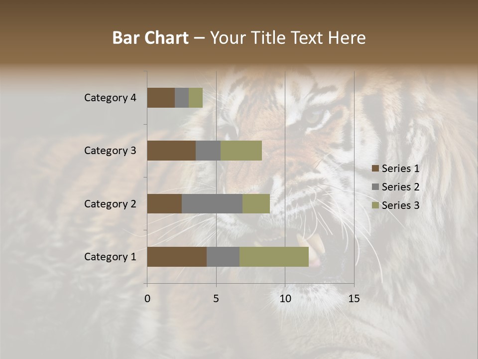 Bengal Tiger Roaring PowerPoint Template