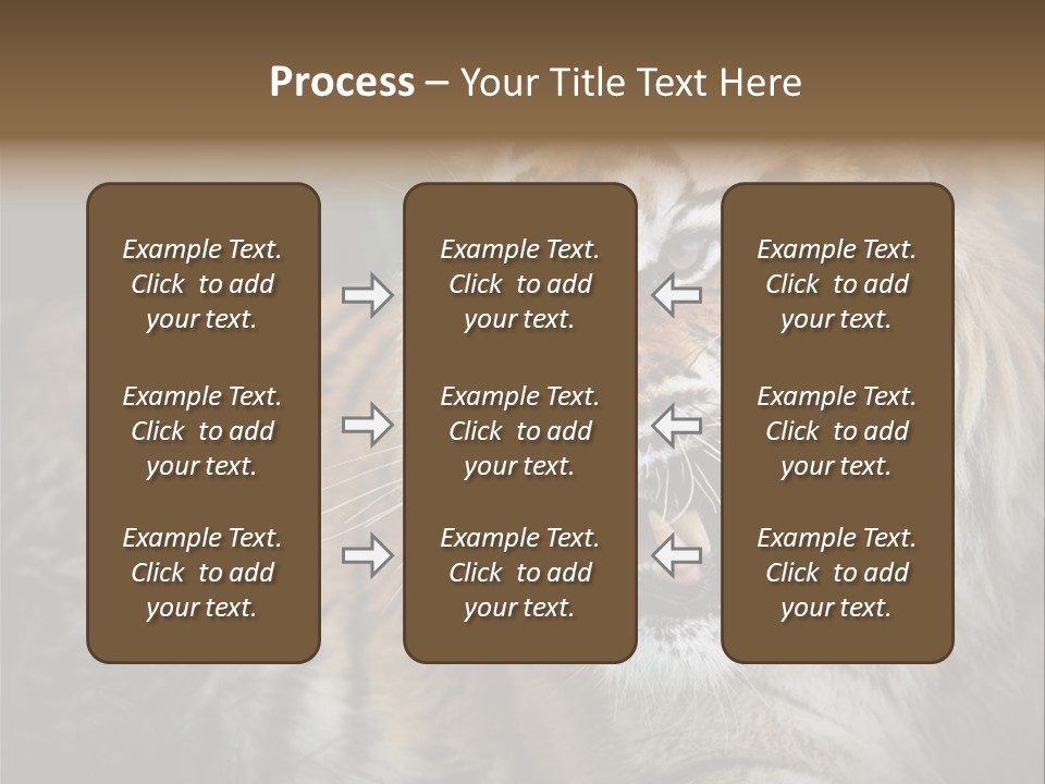 Bengal Tiger Roaring PowerPoint Template