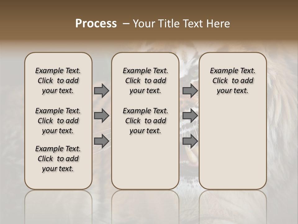 Bengal Tiger Roaring PowerPoint Template