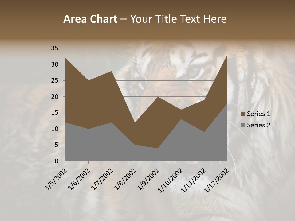 Bengal Tiger Roaring PowerPoint Template