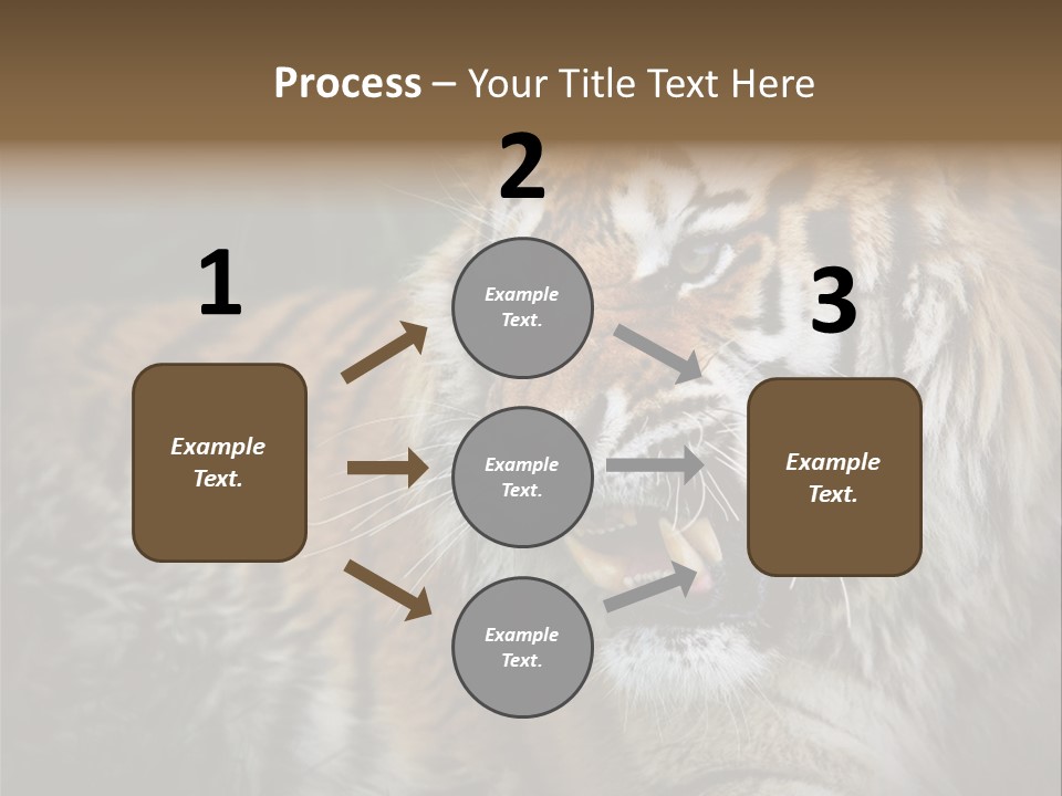 Bengal Tiger Roaring PowerPoint Template