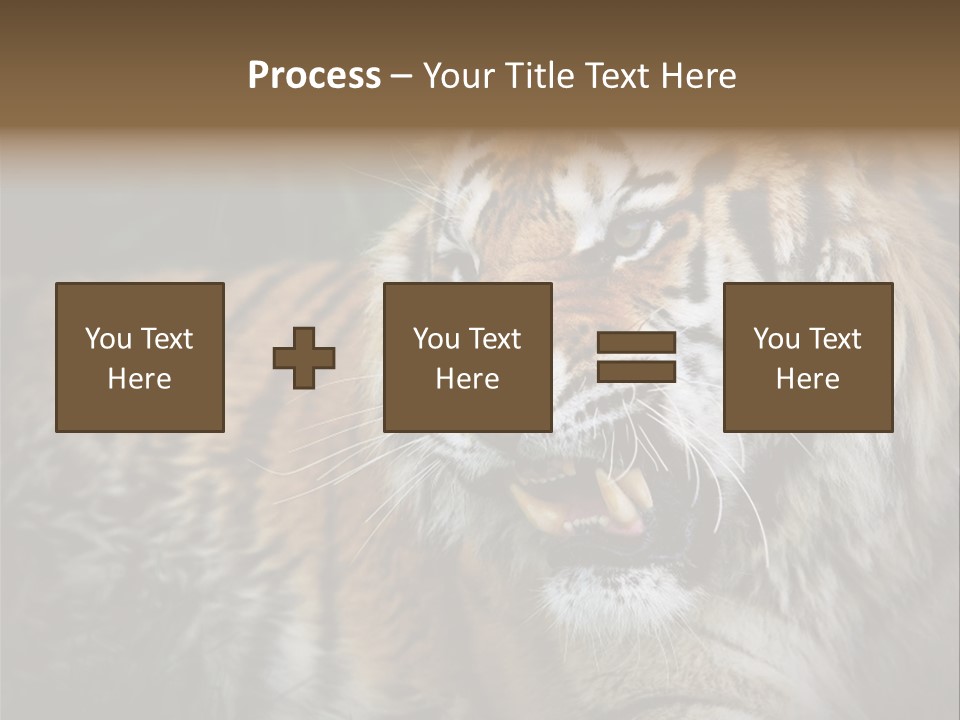 Bengal Tiger Roaring PowerPoint Template