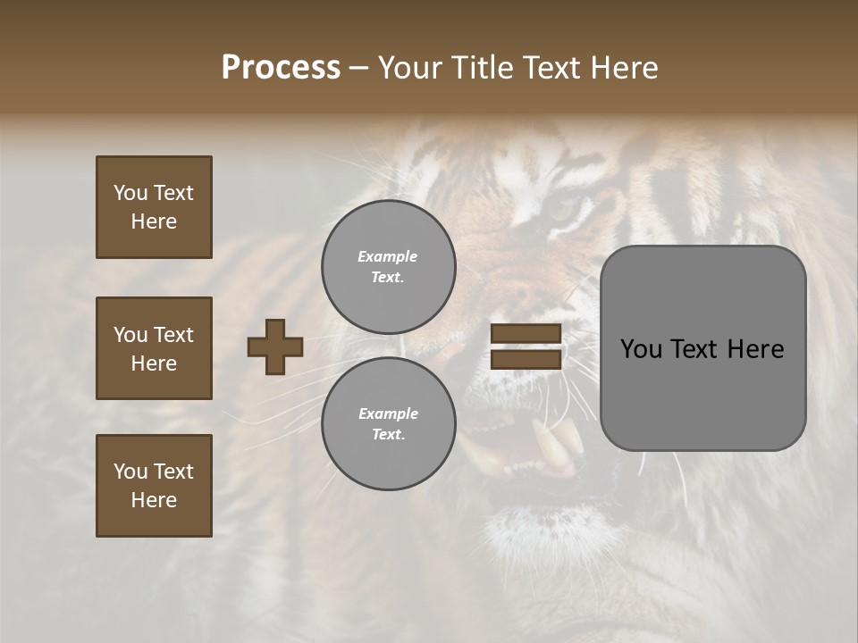 Bengal Tiger Roaring PowerPoint Template