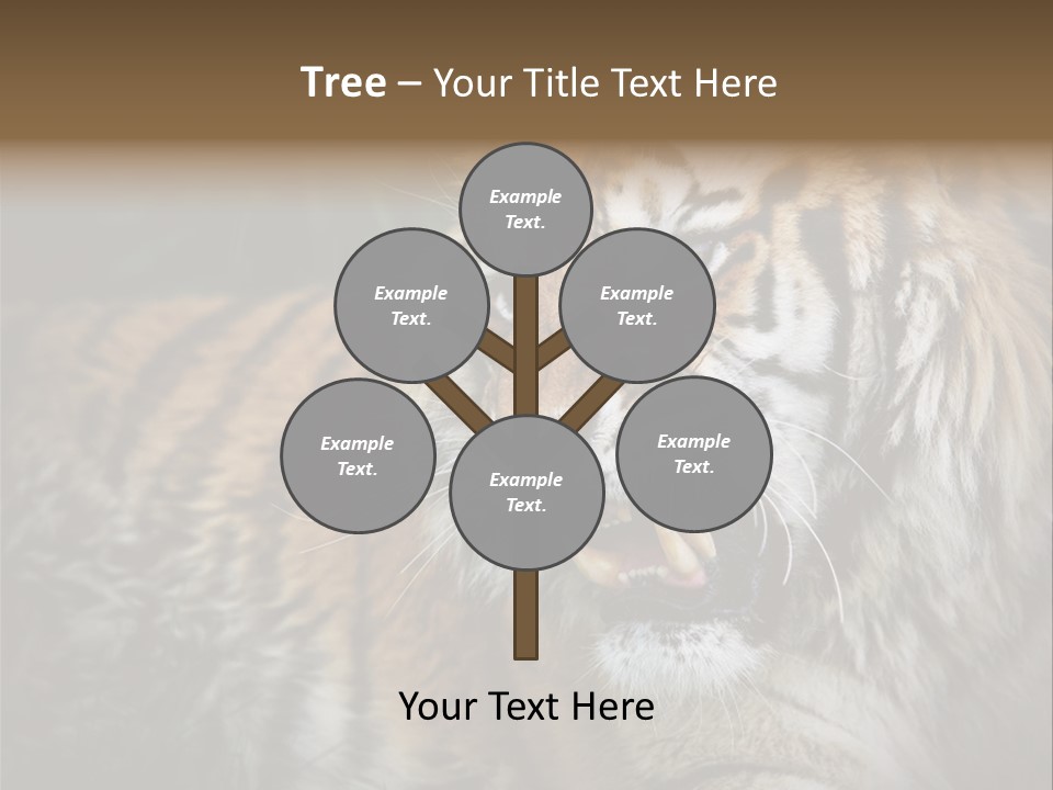 Bengal Tiger Roaring PowerPoint Template