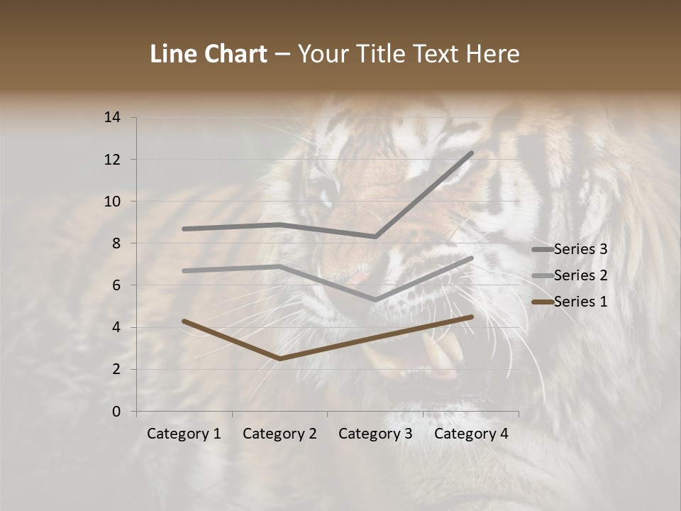 Bengal Tiger Roaring PowerPoint Template