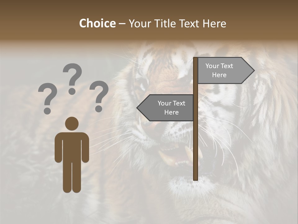 Bengal Tiger Roaring PowerPoint Template