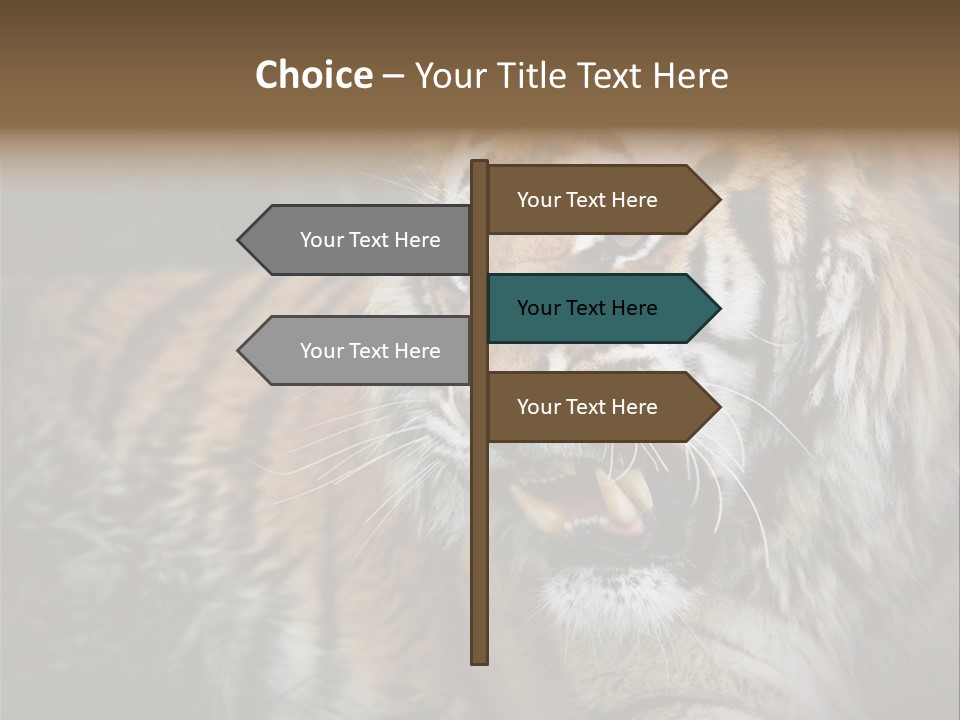 Bengal Tiger Roaring PowerPoint Template