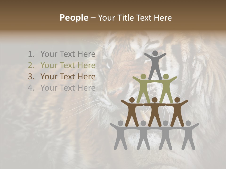 Bengal Tiger Roaring PowerPoint Template