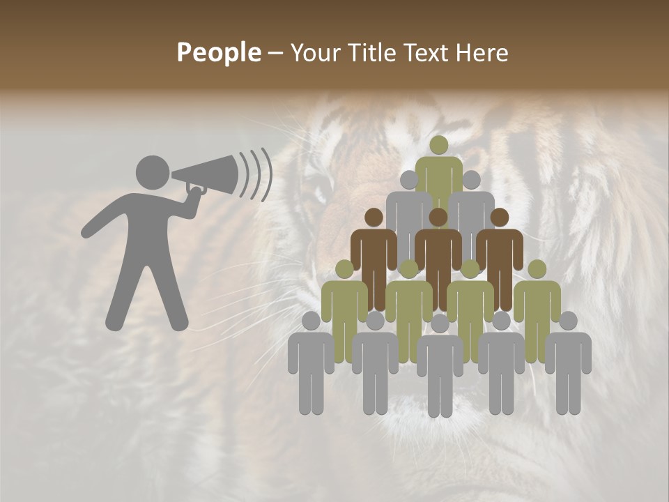 Bengal Tiger Roaring PowerPoint Template