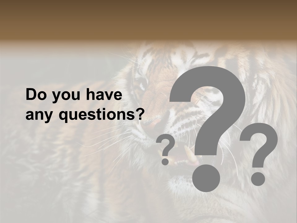 Bengal Tiger Roaring PowerPoint Template