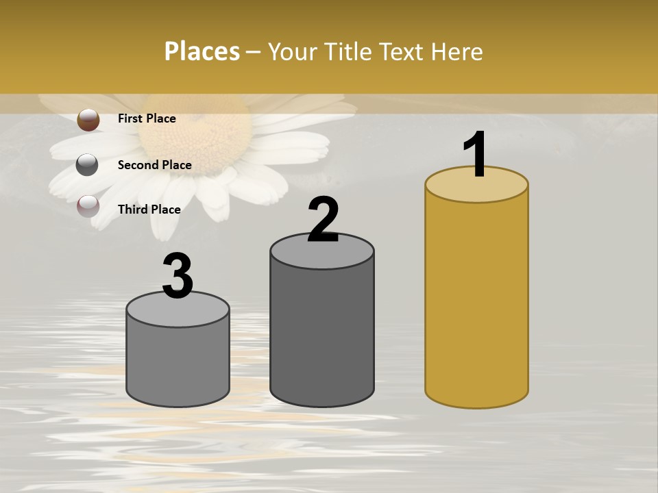 Daisy With Stones, Water Reflexion PowerPoint Template