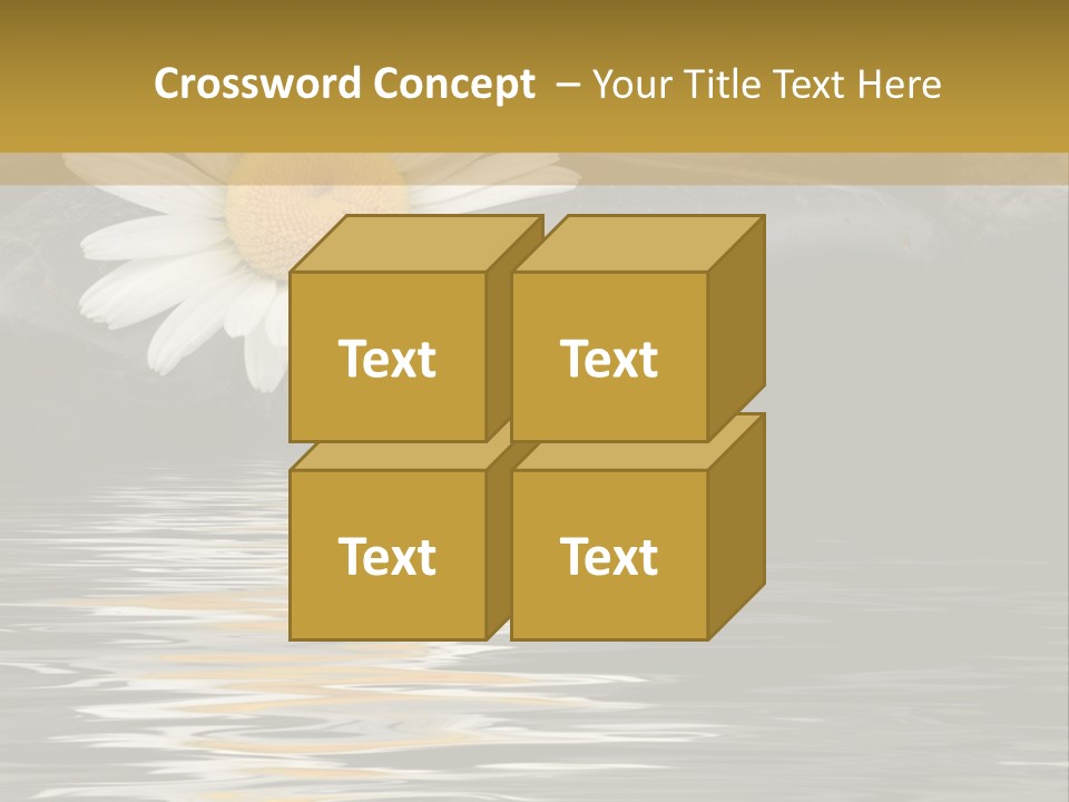 Daisy With Stones, Water Reflexion PowerPoint Template