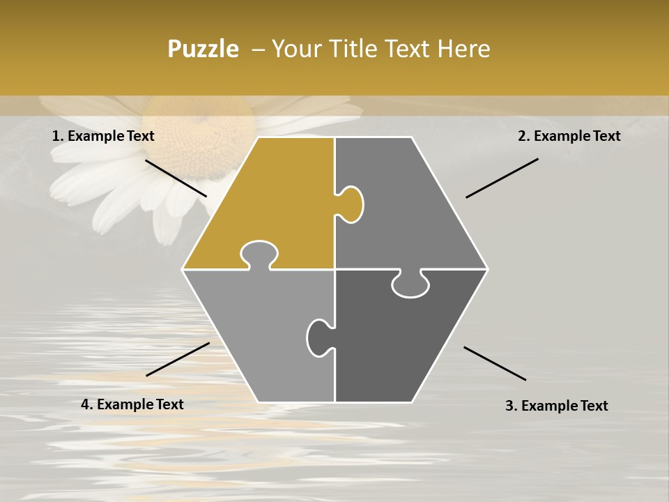 Daisy With Stones, Water Reflexion PowerPoint Template