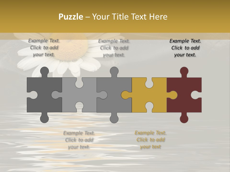 Daisy With Stones, Water Reflexion PowerPoint Template