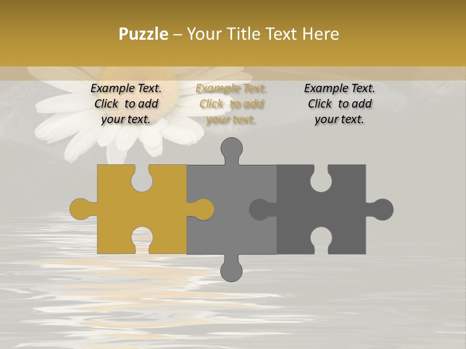 Daisy With Stones, Water Reflexion PowerPoint Template