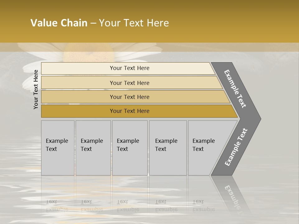 Daisy With Stones, Water Reflexion PowerPoint Template