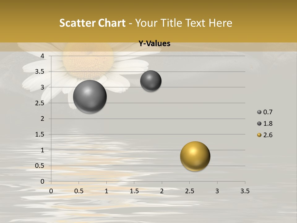 Daisy With Stones, Water Reflexion PowerPoint Template