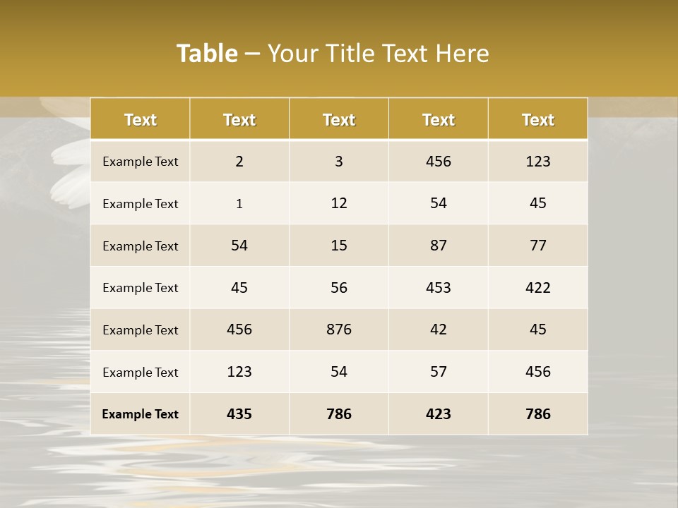 Daisy With Stones, Water Reflexion PowerPoint Template