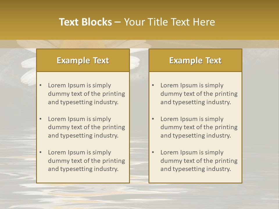 Daisy With Stones, Water Reflexion PowerPoint Template