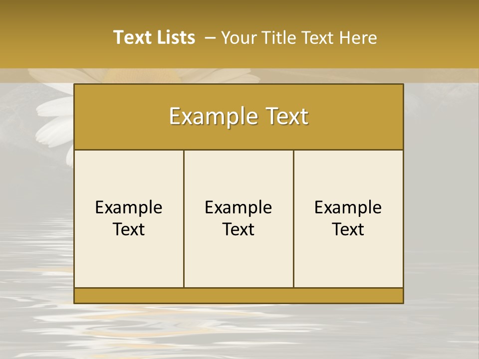 Daisy With Stones, Water Reflexion PowerPoint Template