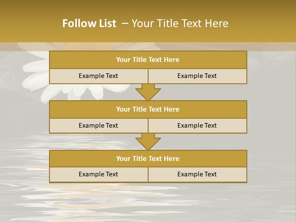 Daisy With Stones, Water Reflexion PowerPoint Template