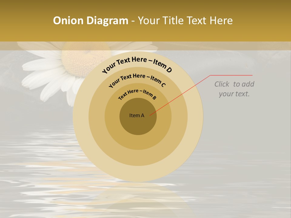 Daisy With Stones, Water Reflexion PowerPoint Template