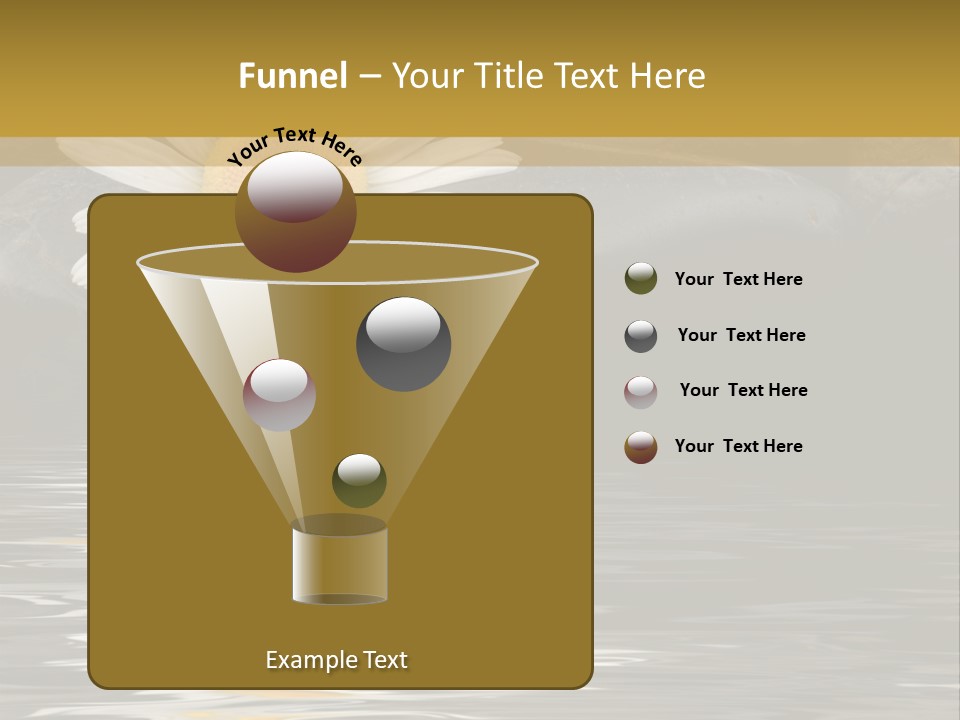 Daisy With Stones, Water Reflexion PowerPoint Template