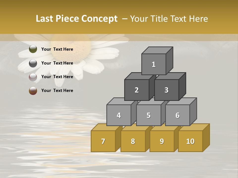 Daisy With Stones, Water Reflexion PowerPoint Template