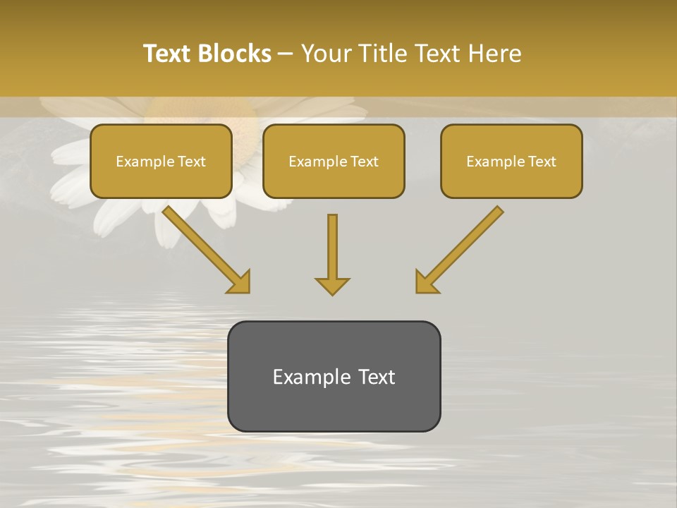 Daisy With Stones, Water Reflexion PowerPoint Template