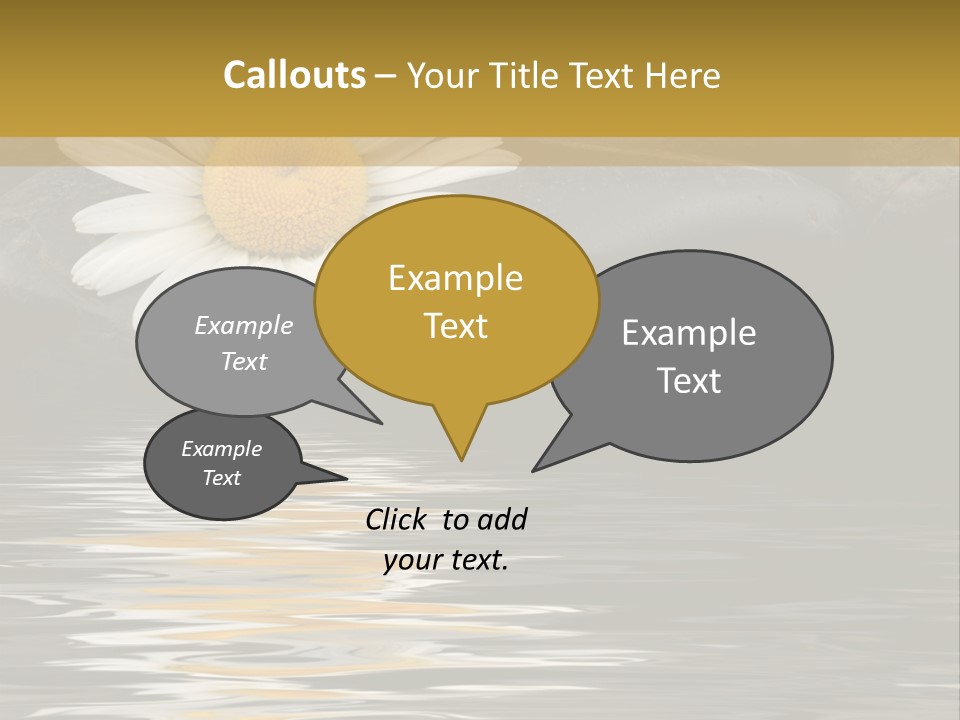 Daisy With Stones, Water Reflexion PowerPoint Template
