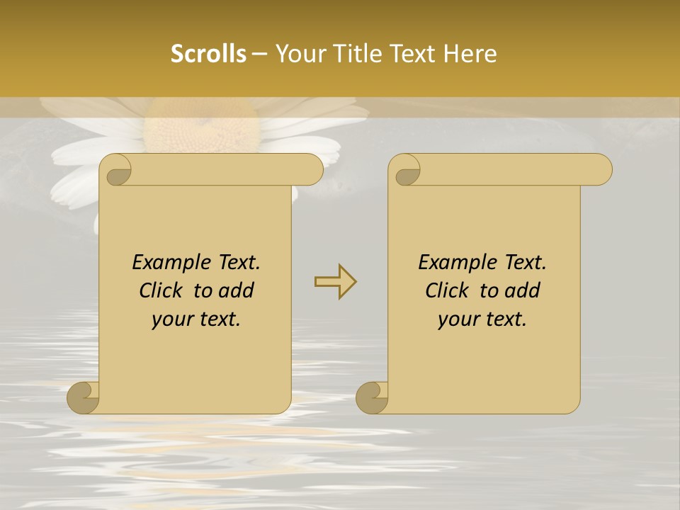 Daisy With Stones, Water Reflexion PowerPoint Template