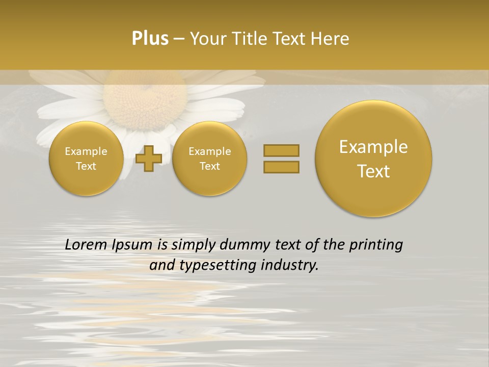 Daisy With Stones, Water Reflexion PowerPoint Template