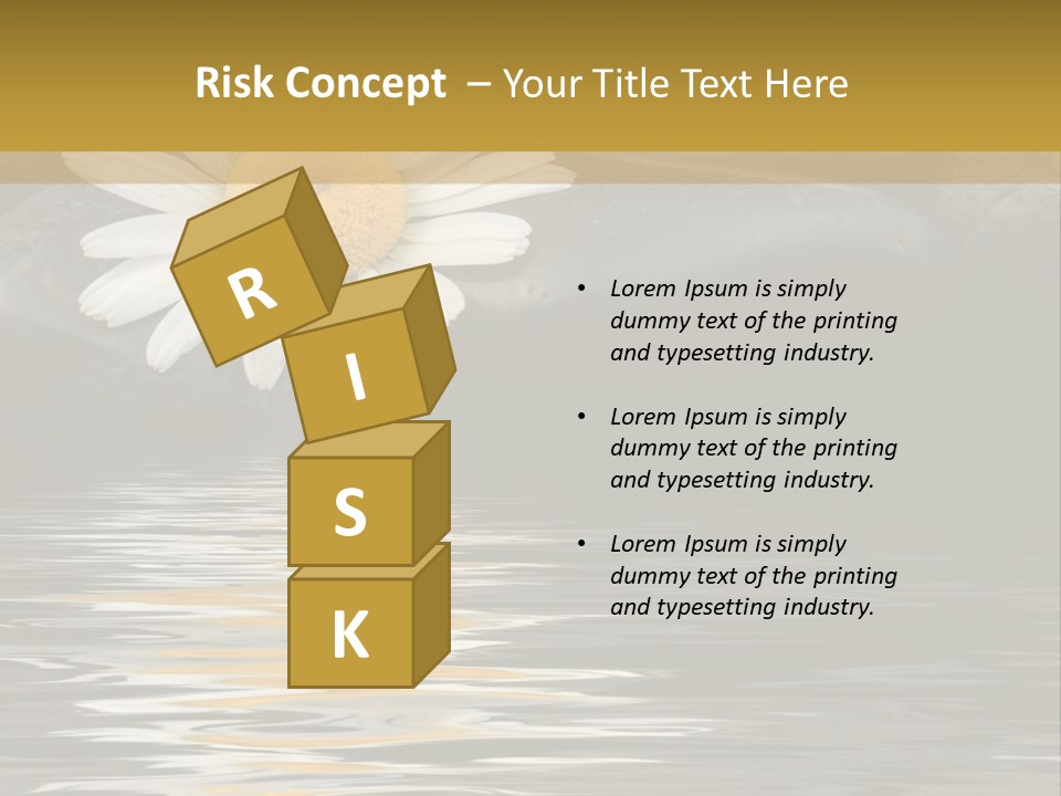 Daisy With Stones, Water Reflexion PowerPoint Template