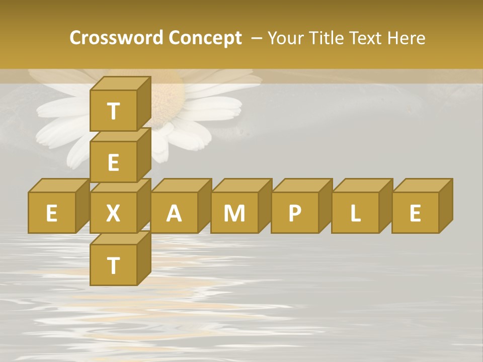 Daisy With Stones, Water Reflexion PowerPoint Template