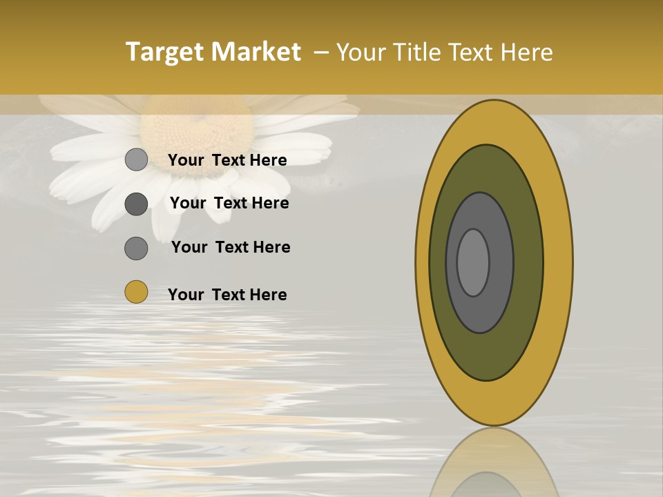 Daisy With Stones, Water Reflexion PowerPoint Template