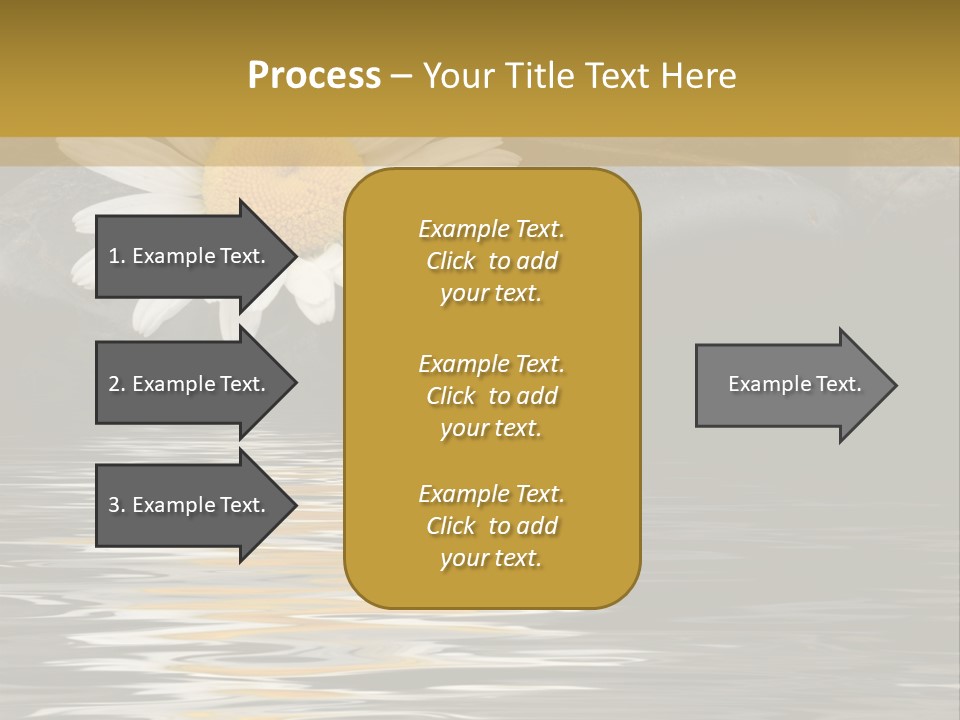 Daisy With Stones, Water Reflexion PowerPoint Template