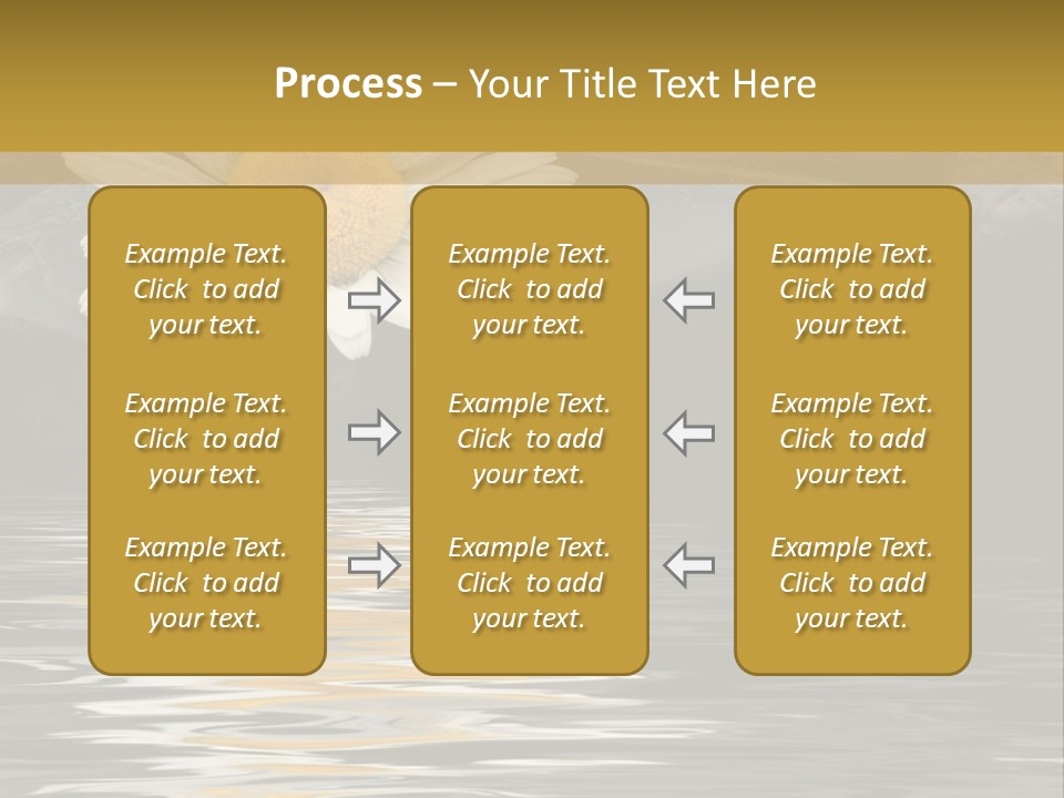 Daisy With Stones, Water Reflexion PowerPoint Template