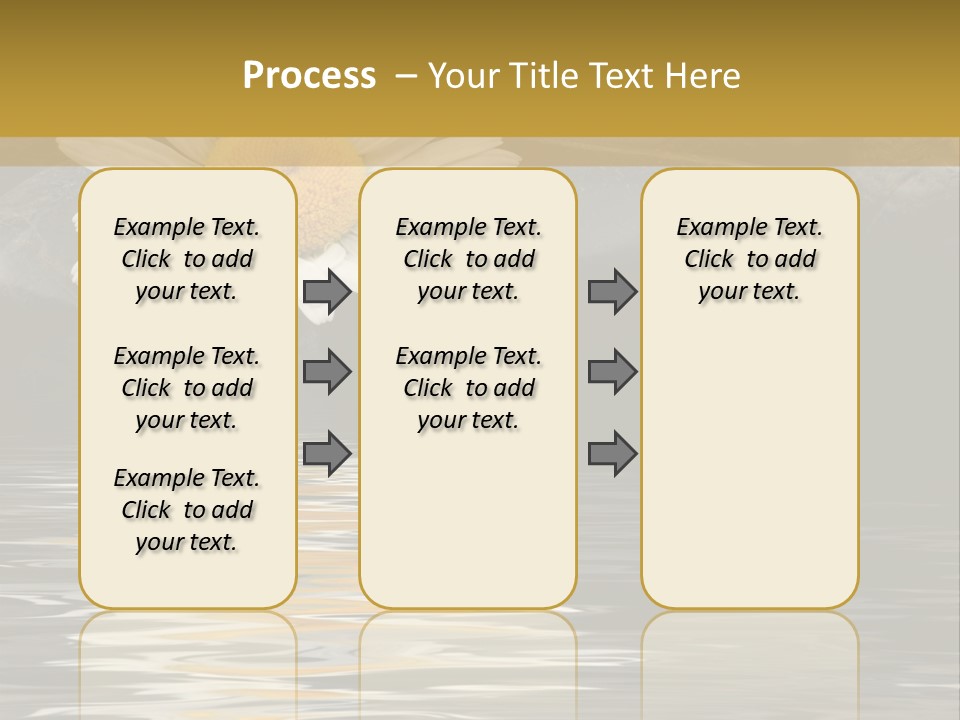 Daisy With Stones, Water Reflexion PowerPoint Template