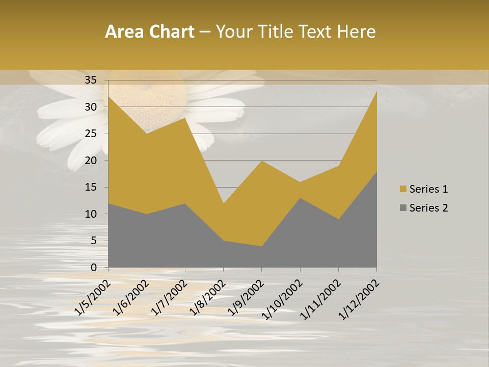 Daisy With Stones, Water Reflexion PowerPoint Template